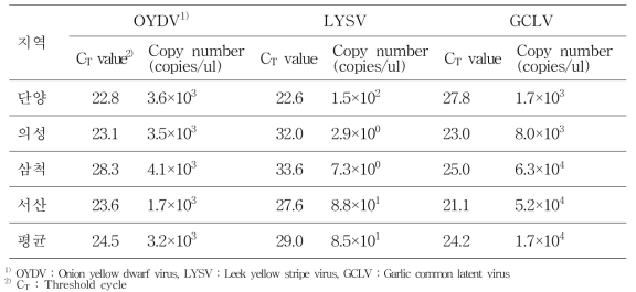 수확기 한지형 마늘 재배지에서의 바이러스 감염량 비교