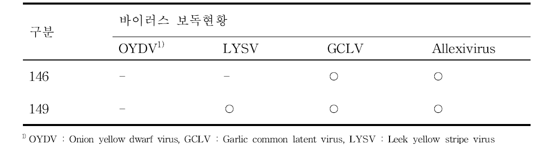 GYMaV 감염 시료에 대한 마늘 4종 주요 바이러스 감염 현황