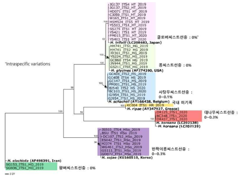 씨스트선충 ITS region의 분자생물학적 계통 분석 결과