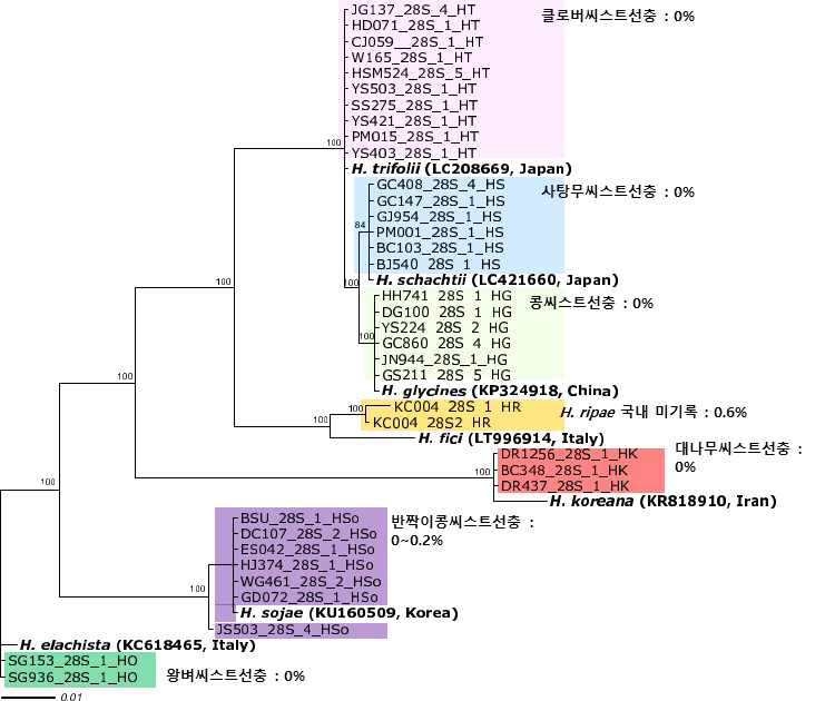 씨스트선충 28S D2-D3의 분자생물학적 계통 분석 결과