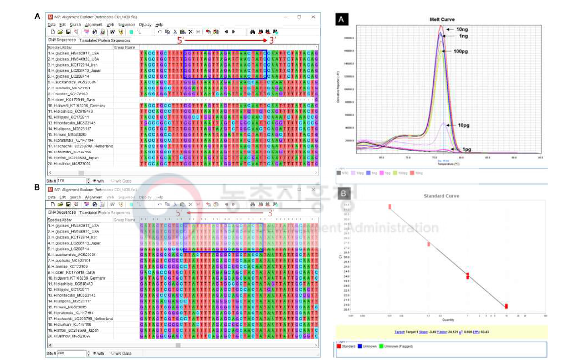 콩씨스트선충 동정을 위한 특이프라이머세트 개발을 위한 qPCR 결과