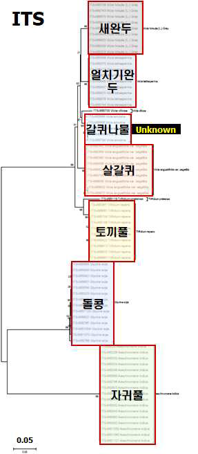 ITS 구역의 염기서열을 이용한 두과 7종의 Neighbor-joining tree