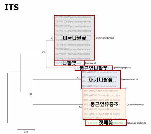 ITS의 염기서열을 이용한 메꽃과 잡초의 Neighbor-joining tree