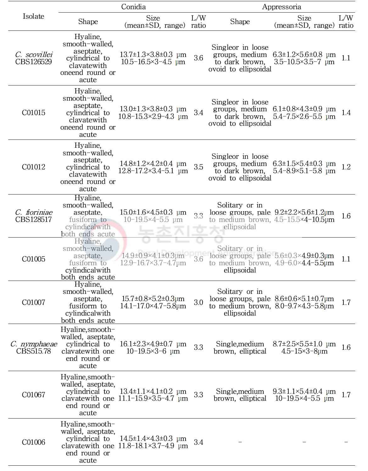 Colletotrichum acutatum species complex에 속하는 고추탄저병균의 균학적 특성