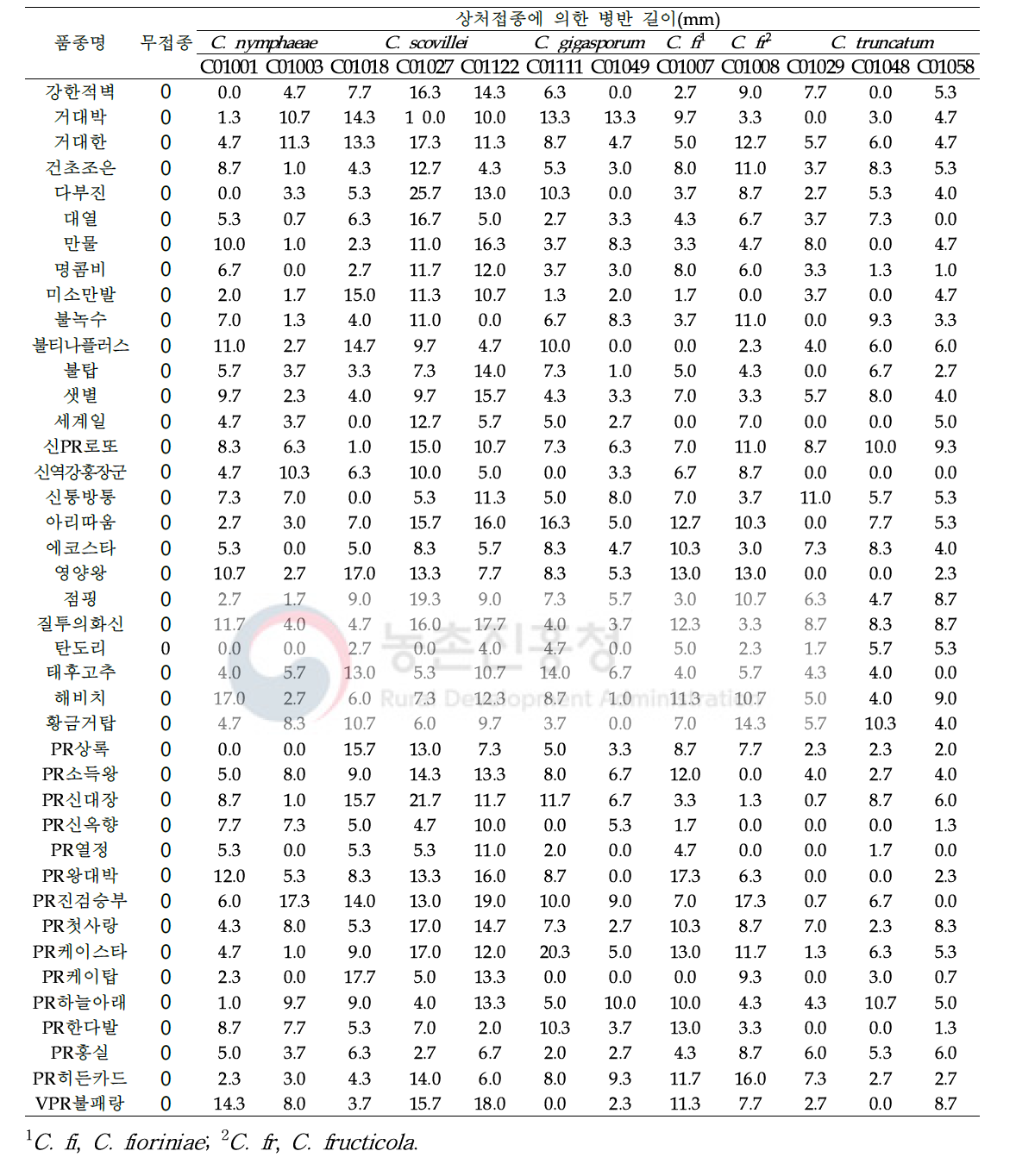 고추 시판품종에 대한 국내 고추 분리 Colletotrichum의 병원성