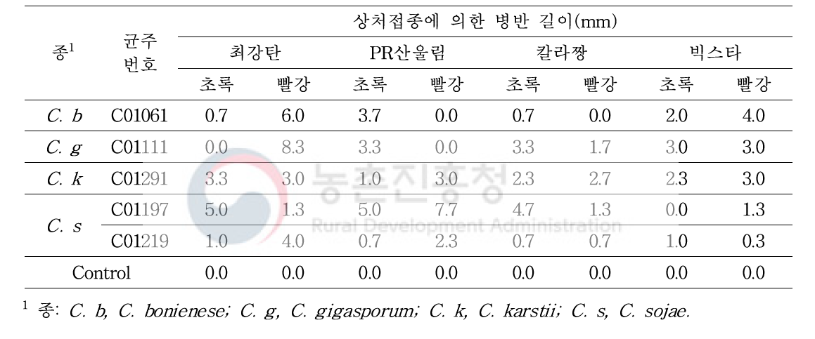 기타 종 복합체에 속하는 고추 분리 Colletotrichum의 침접종에 의한 병원성