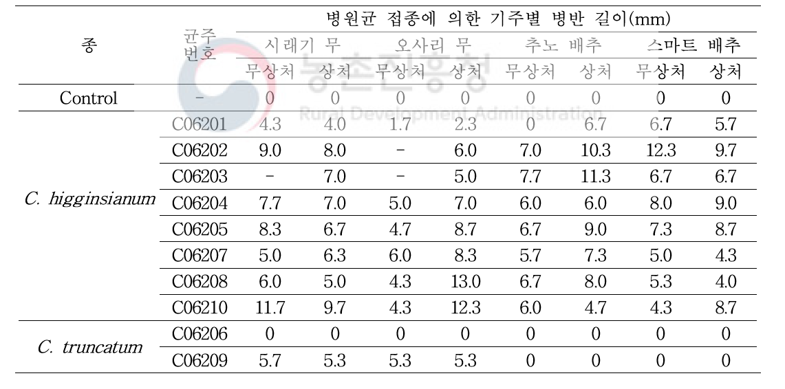 무에서 분리한 Colletotrichum 2종의 무와 배추에 대한 병원성 검정