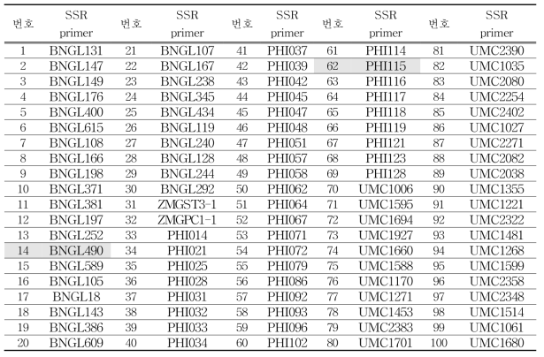 SSR 프라이머 분석 목록