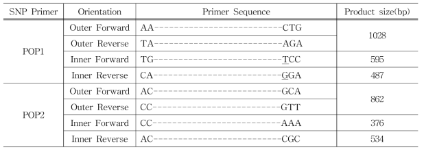SNP 프라이머 제작