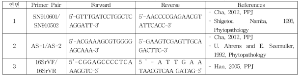 대추나무 빗자루병 유전자 진단을 위하여 사용한 프라이머 조합