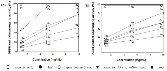 아스파라거스 부위별 DPPH radical 소거능