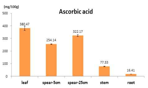 아스파라거스 부위별 아스코르빈산 함량