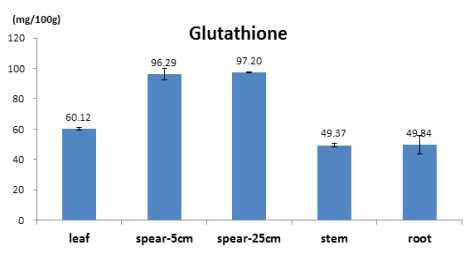 부위별 글루타티온 함량