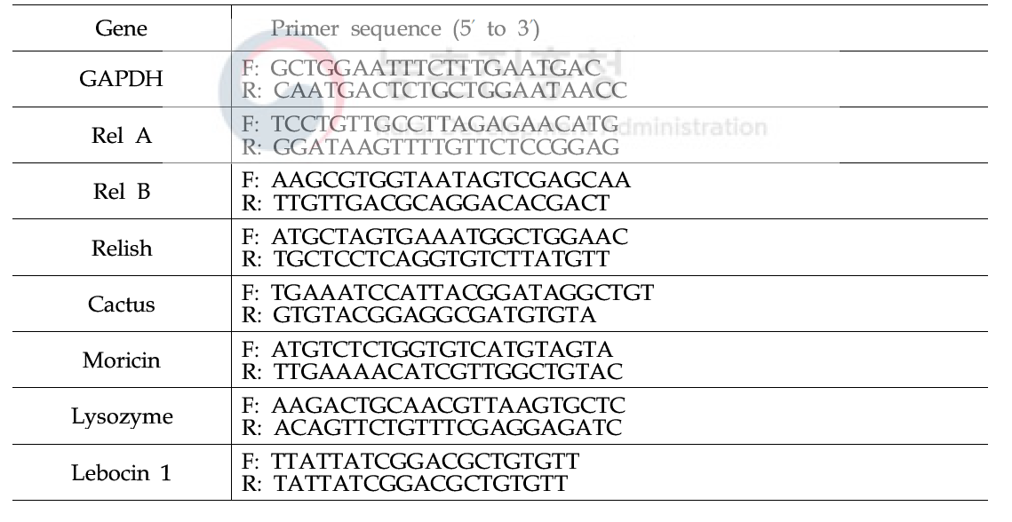 유전자 발현 분석을 위한 PCR primer