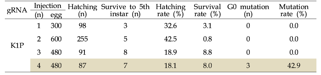 K1P gRNA 미세주사에 따른 KMO 돌연변이 발생빈도