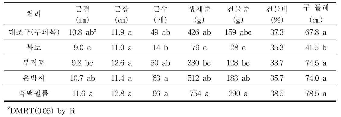 피복재 종류별 구근 생육 특성