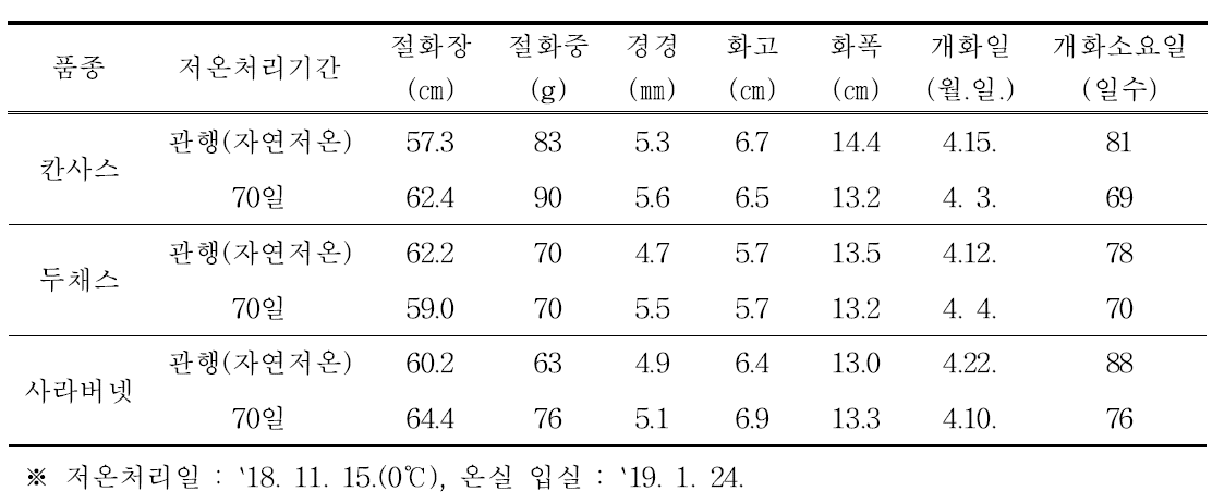 저온처리 후 품종별 생육 특성