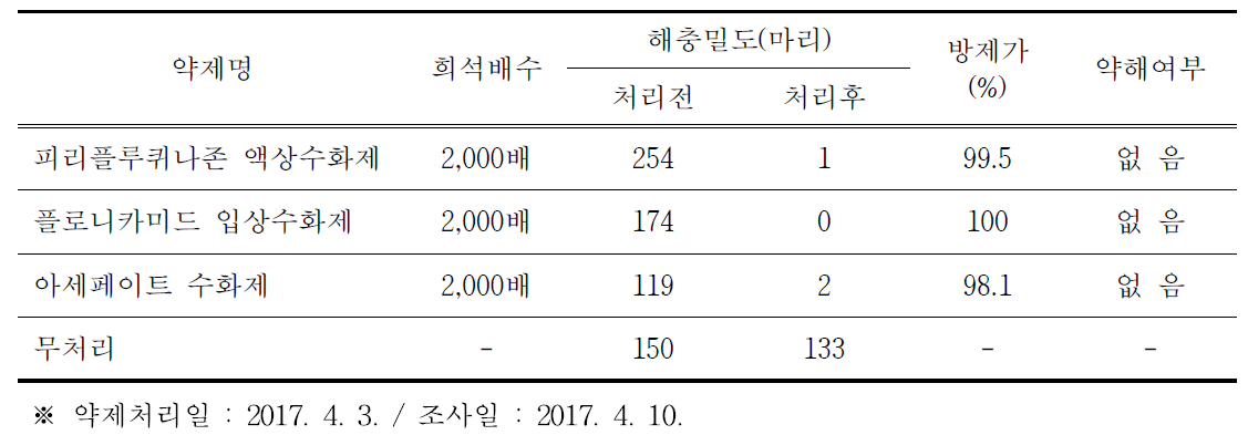 절화작약에서 목화진딧물 약제방제 효과시험 (7일 후)