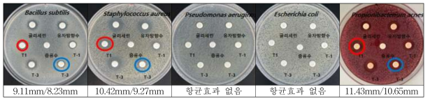 입욕제 재료에 따른 입욕제의 항균활성