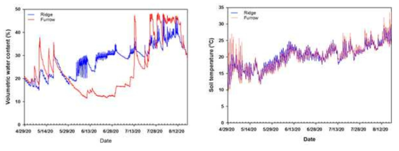 시험기간동안 고랑 및 이랑의 토양수분, 지온변화