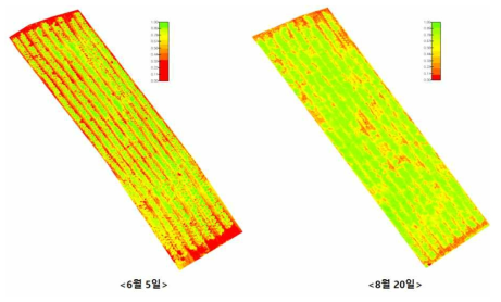 시험기간동안 재배포장의 NDVI 분포