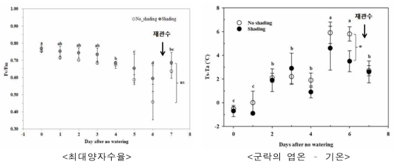 무관수 기간, 재관수 처리에 따른 최대양자수율 및 엽온 변화