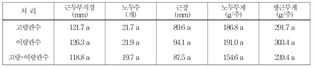 관수처리 방법별 수확기 생육 및 수량 (11. 10.)