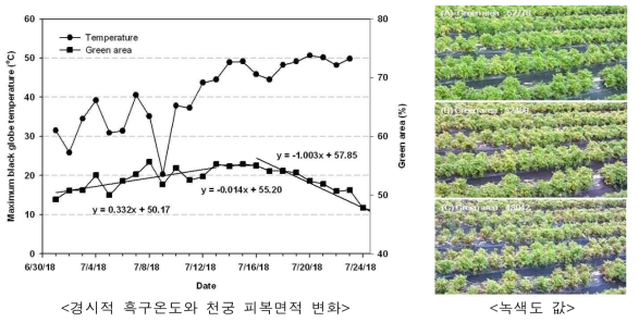 흑구온도에 다른 천궁의 생육