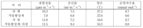 고온장해 경감 처리에 따른 광합성 특성 (8. 12.)