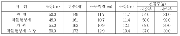 고온장해 경감 처리에 따른 중간생육 (8. 12.)