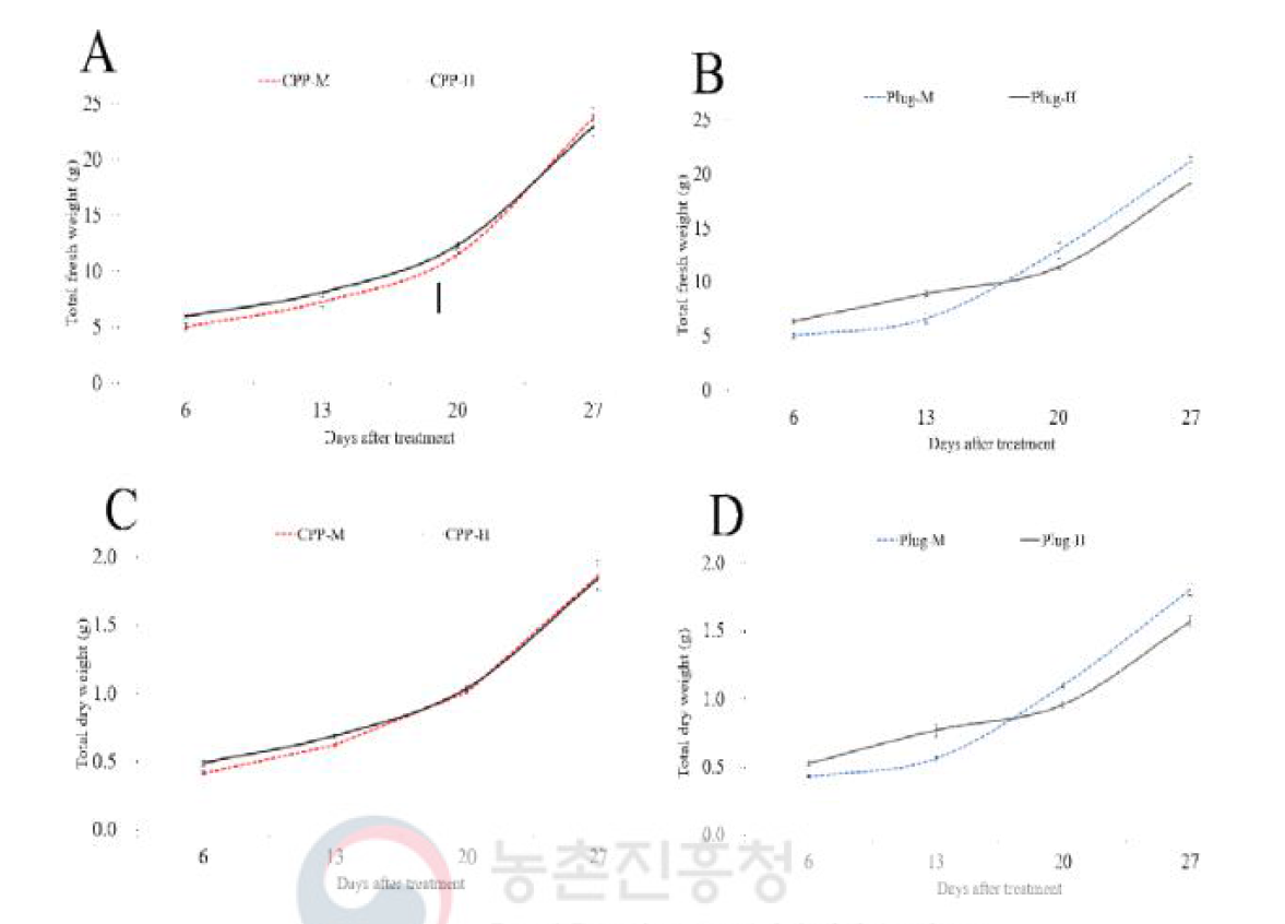 관수량에 차이를 주었을 때, 원통형 종이포트 묘와 기존 플러그 묘의 전체 생체중 및 전체 건물중의 차이 비교(A: 원통형 종이포트 묘의 전체 생체중 / B: 기존 플러그 묘의 전체 생체중 / C: 원통형 종이포트 묘의 전체 건물중 / D: 기존 플러그 묘의 전체 건물중)