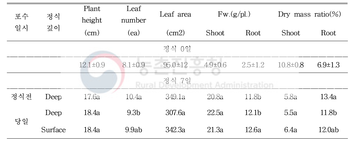 정식 전 포수 일시와 정식 깊이에 따른 토마토 초기와 정식 7일째 생육