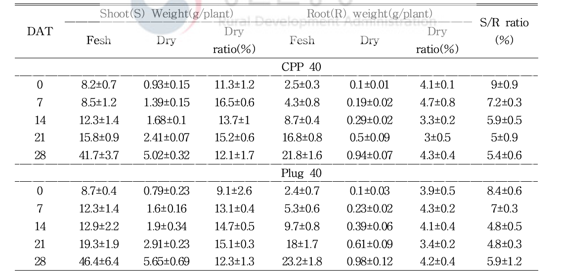 육묘 방식에 따른 오이(육묘 40일)의 지상부 및 지하부의 무게 및 S/R 율의 변화