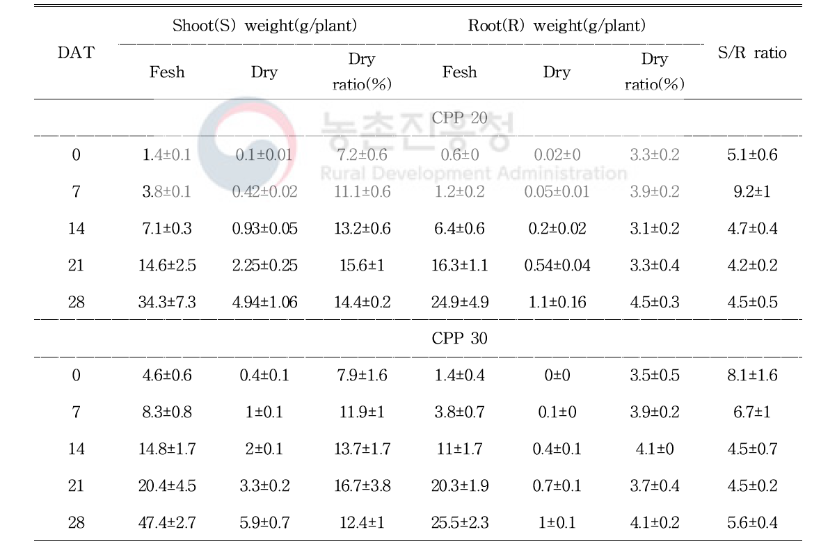 육묘일수에 따른 오이의 지상부 및 지하부의 무게 및 S/R율의 변화