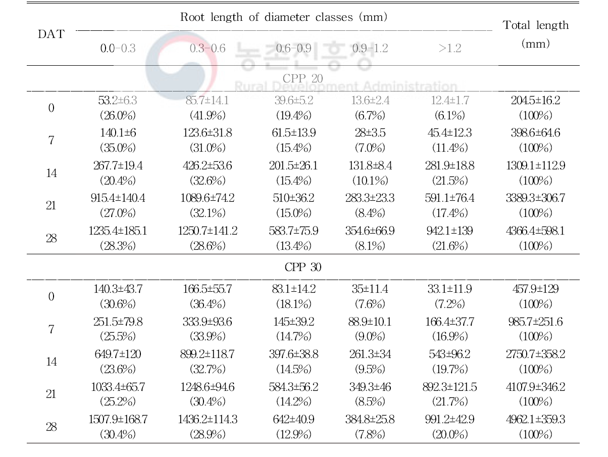 정식 일수에 따른 육묘 방식이 오이(육묘 40일)의 근장 변화