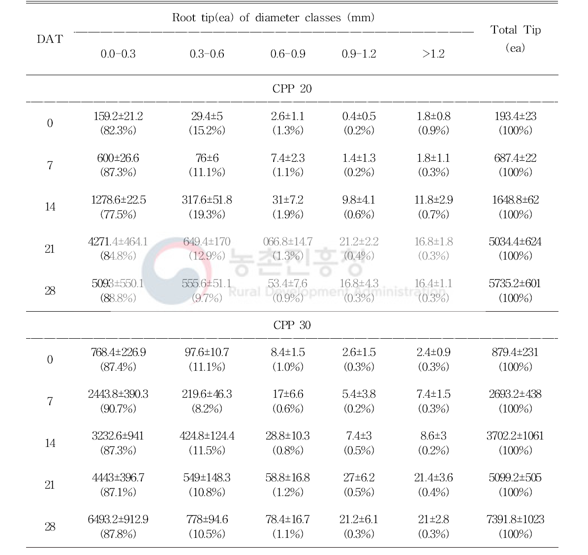 정식 일수에 따른 육묘 방식이 오이(육묘 30일)의 근단 수