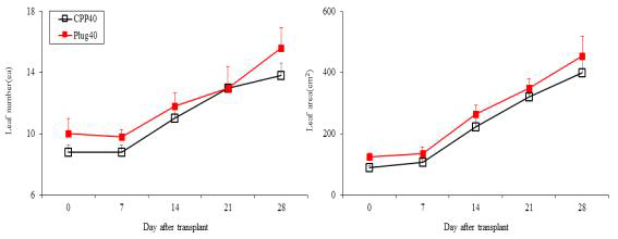 육묘 방식에 따른 파프리카(육묘 40일)의 엽수, 엽면적 변화
