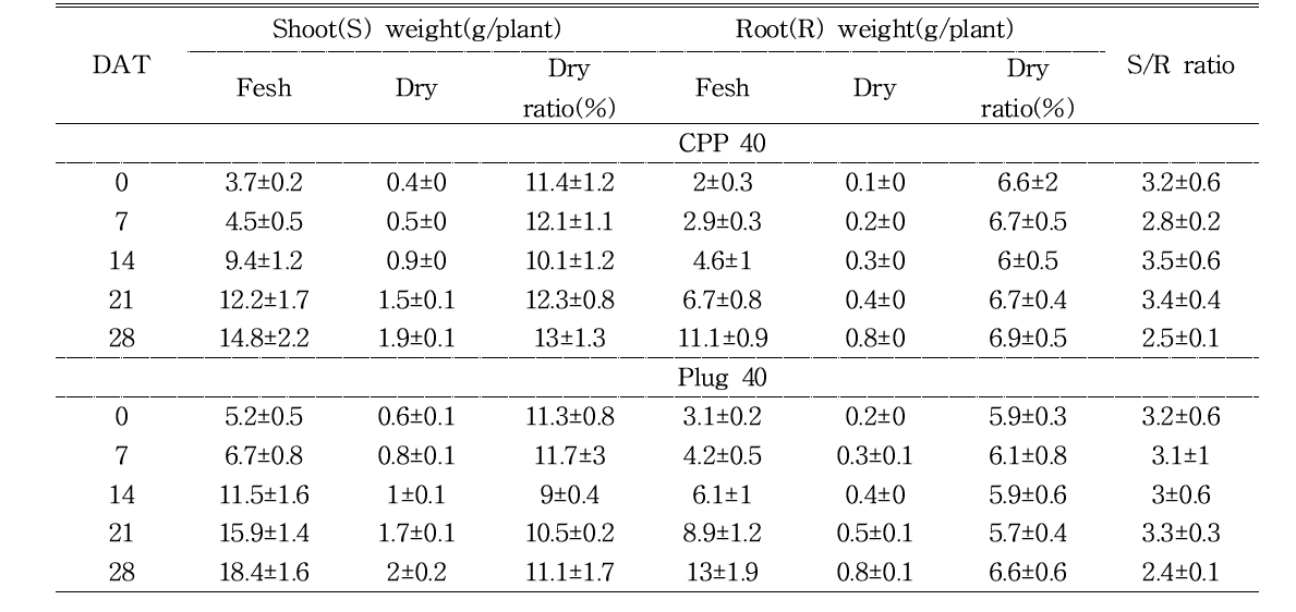 육묘 방식에 따른 파프리카(육묘 40일)의 지상부 및 지하부의 무게 및 S/R율의 변화
