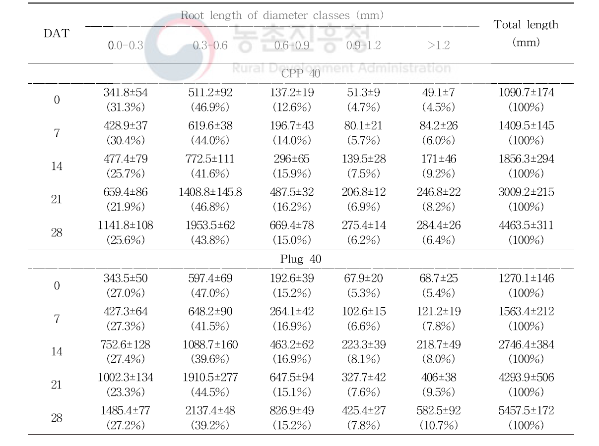 정식 일수에 따른 육묘 방식이 파프리카(육묘 40일)의 근장 변화