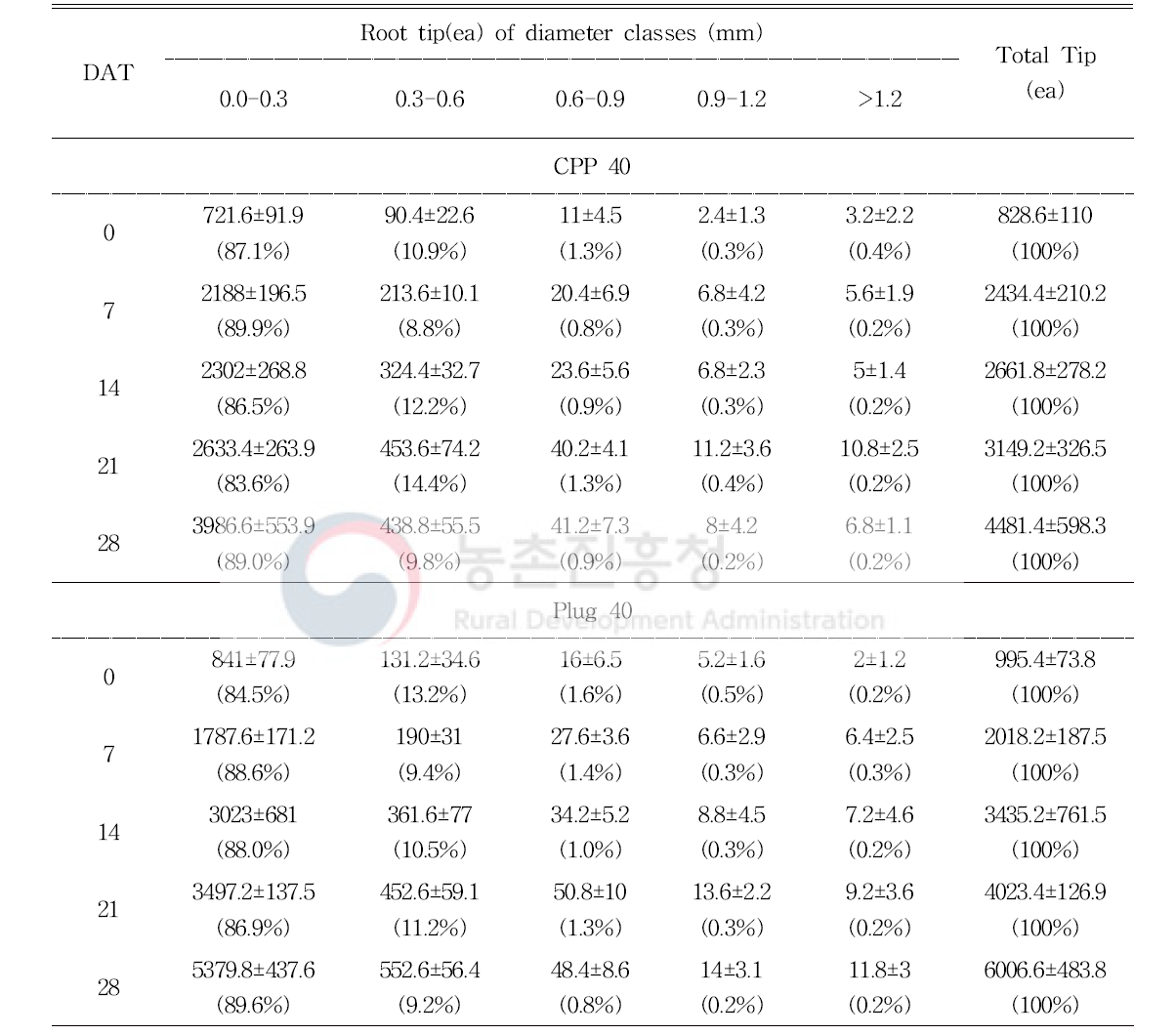 정식 일수에 따른 육묘 방식이 파프리카(육묘 30일)의 근단 수