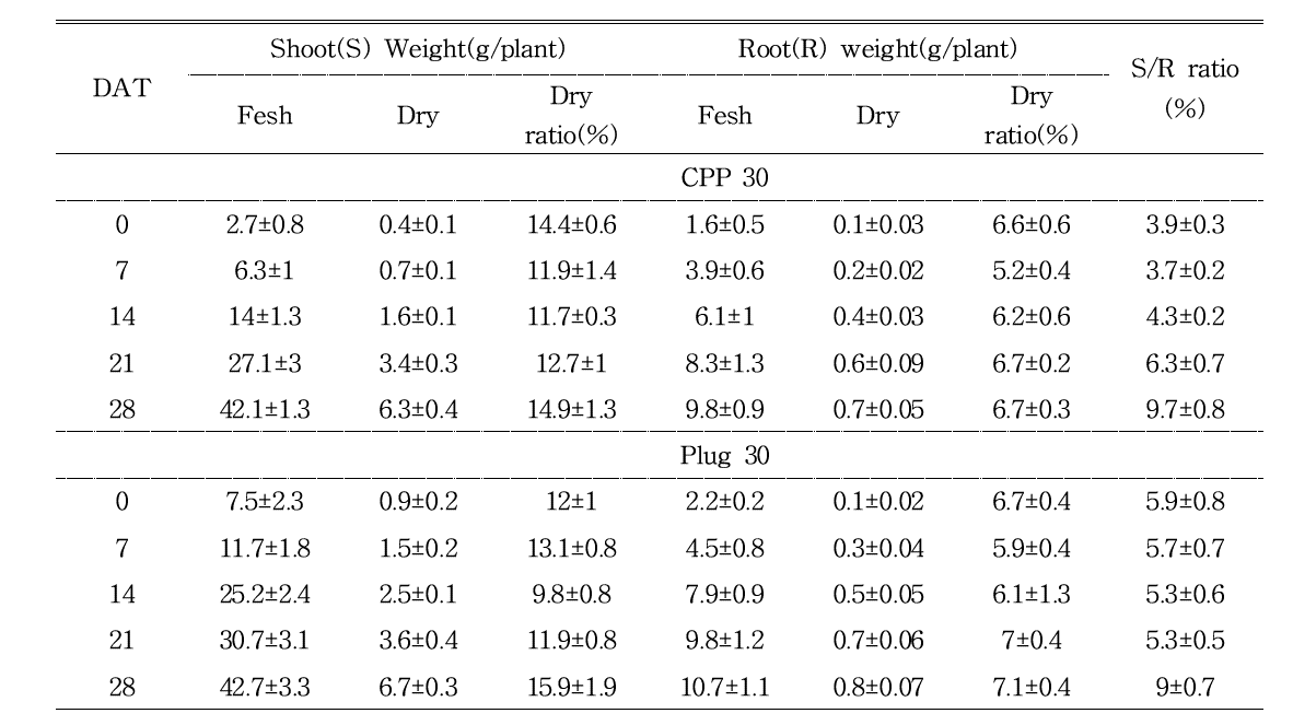 육묘 방식에 따른 토마토(육묘 30일)의 지상부 및 지하부의 무게 및 S/R 율의 변화