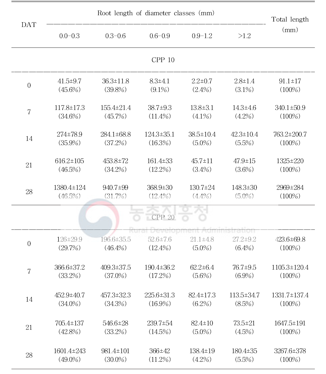 육묘 일수에 따른 토마토 근장 변화