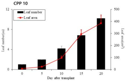 정식 일수에 따른 조기 정식(육묘 10일)의 엽수 및 엽면적의 변화