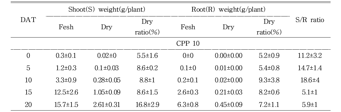 정식 일수에 따른 육묘 방식에 따른 배추(육묘 30일)의 지상부 및 지하부의 무게 및 S/R율 변화