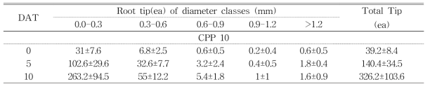정식 일수에 따른 조기 정식(육묘 10일)의 뿌리 부피 변화