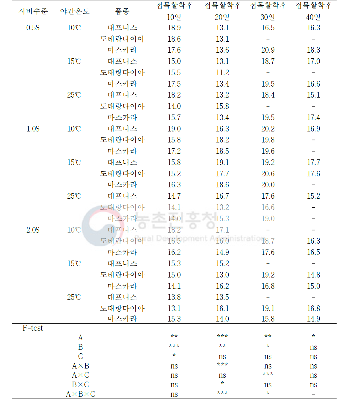 시비수준 처리 받은 토마토 묘의 정식 후 야간온도 처리 2주 후의 광합성속도(CO2 μmolㆍm-2ㆍs-1)