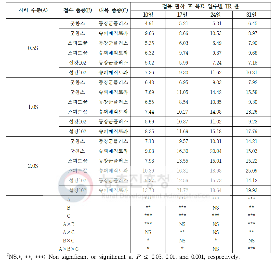 시비 수준 처리 및 품종에 따른 수박 접목묘 접목 활착 후 육묘 일수별 TR율