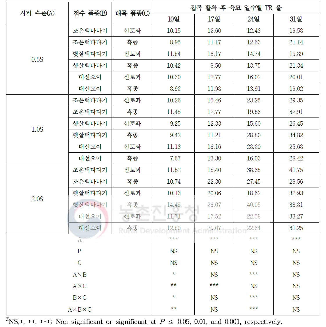 시비 수준 처리 및 품종에 따른 오이 접목묘 접목 활착 후 육묘 일수별 TR율