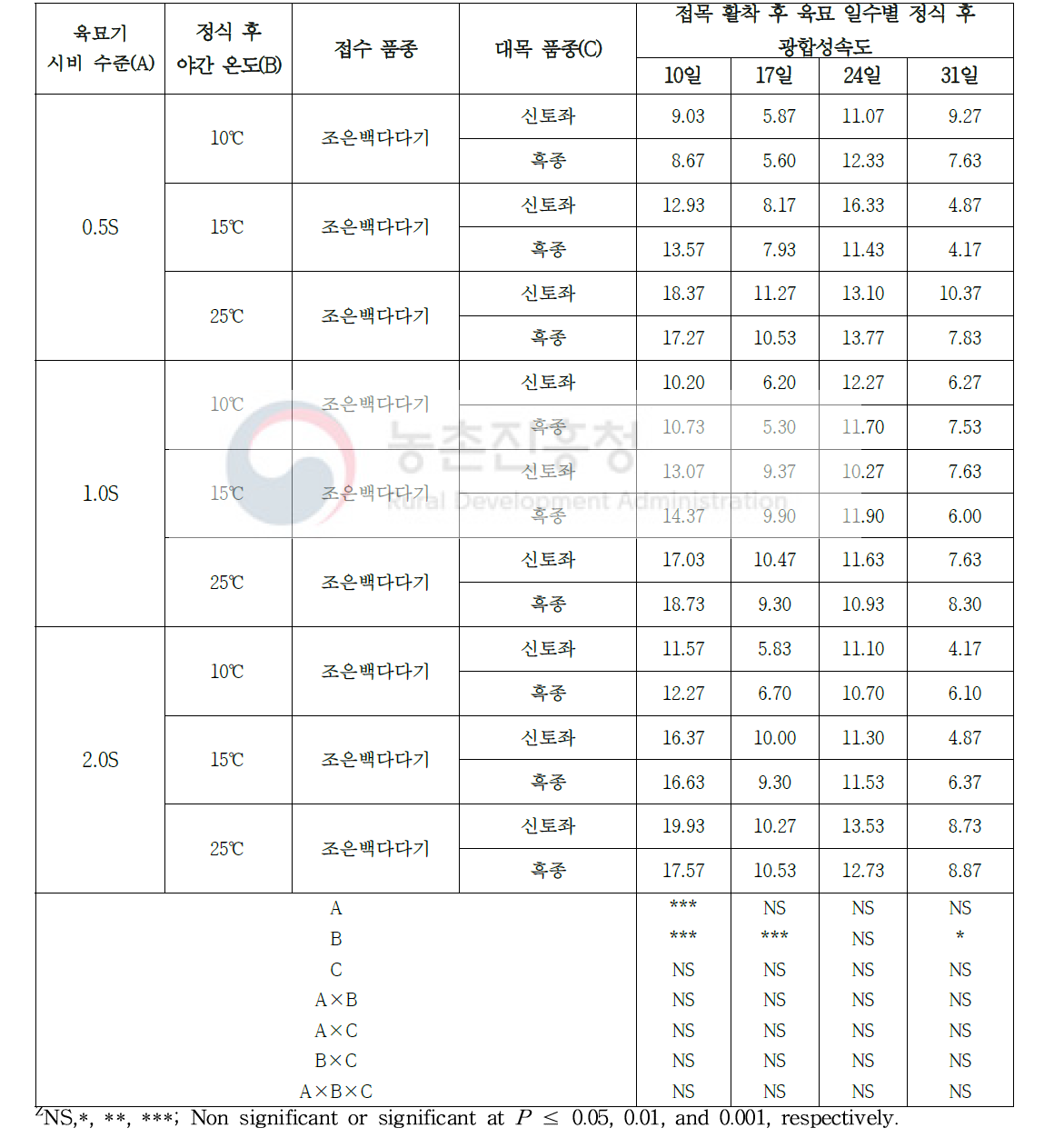 시비 수준 처리 및 품종에 따른 오이 접목묘 정식 후 야간온도 처리 10일 후 광합성속도