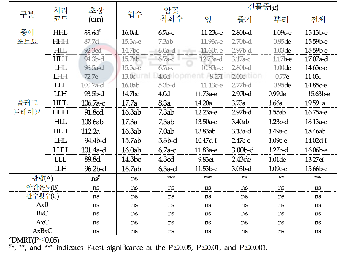 육묘환경 처리에 따른 오이 종이포트 접목묘 및 플러그묘의 정식 후 생육(정식 2주 후)